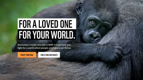 wwf ownership.